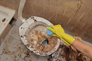 The Weekly Scrubbing